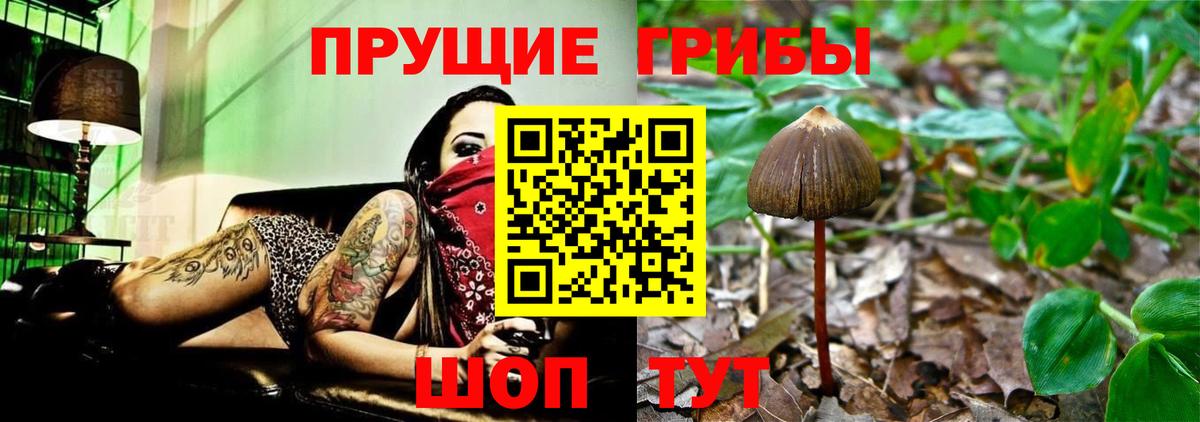 Джанкой  Псилоцибиновые грибы прущие грибы  Вход с VPN  Псилоцибиновые грибы мухоморы 