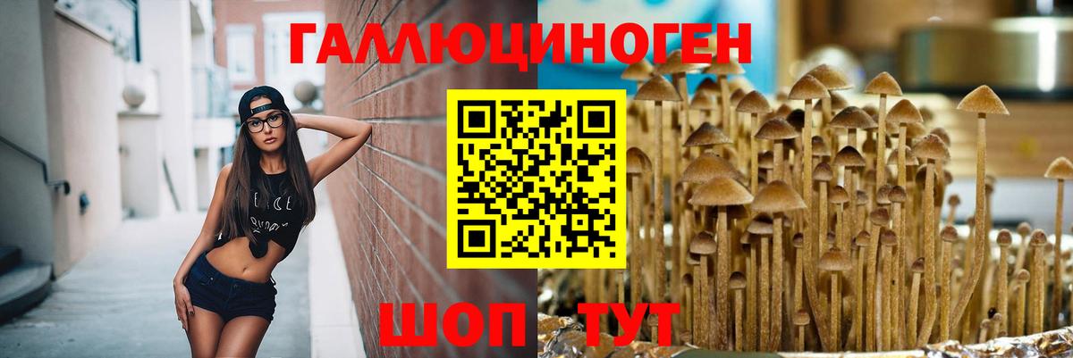 Галлюциногенные грибы Magic Shrooms Джанкой